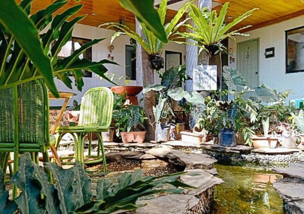 Infinite Green Pension بويرتو برينسيسا المظهر الخارجي الصورة